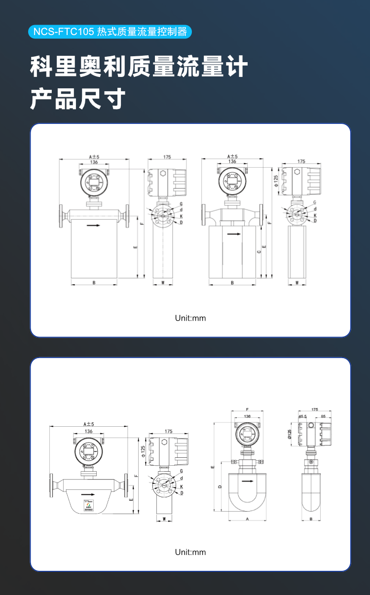 NCS-FTC105 热式质量流量控制器.png