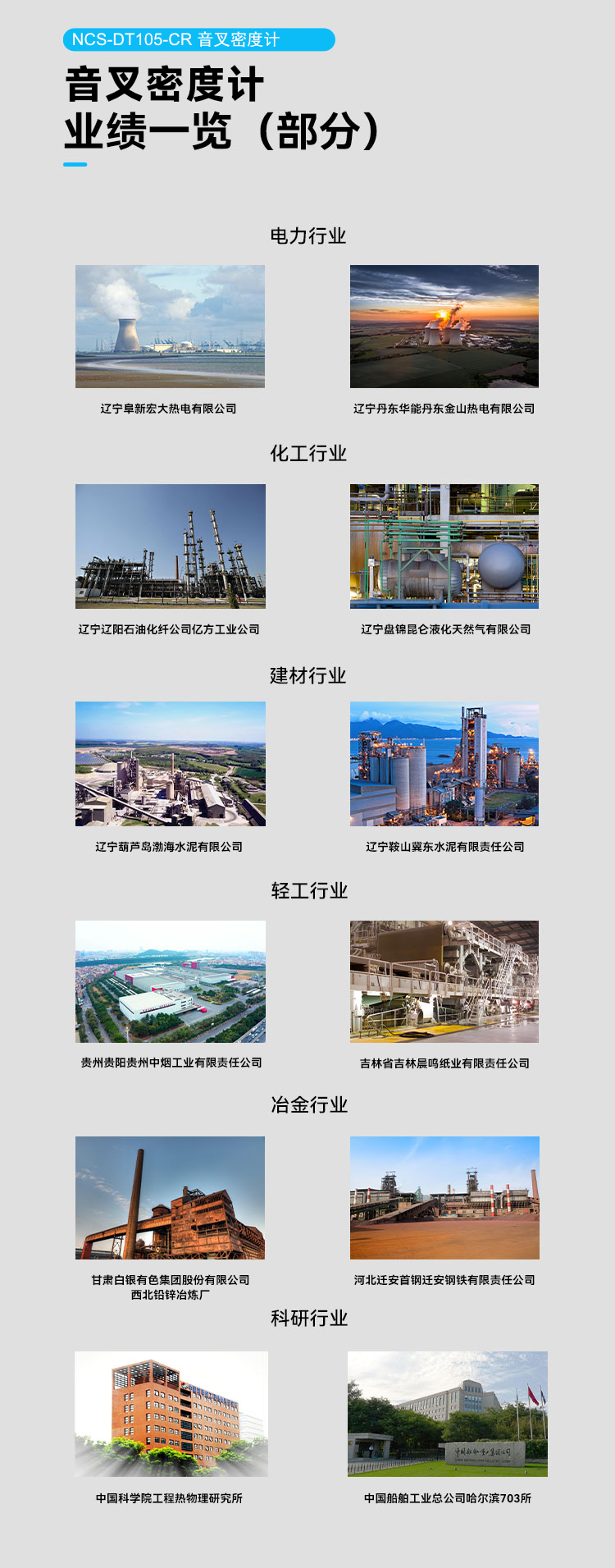 NCS-DT105-CR 音叉密度计.png