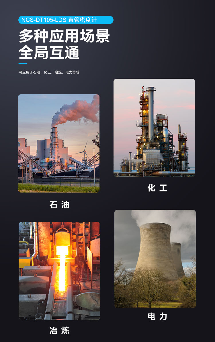 NCS-DT105-LDS 直管密度计.png
