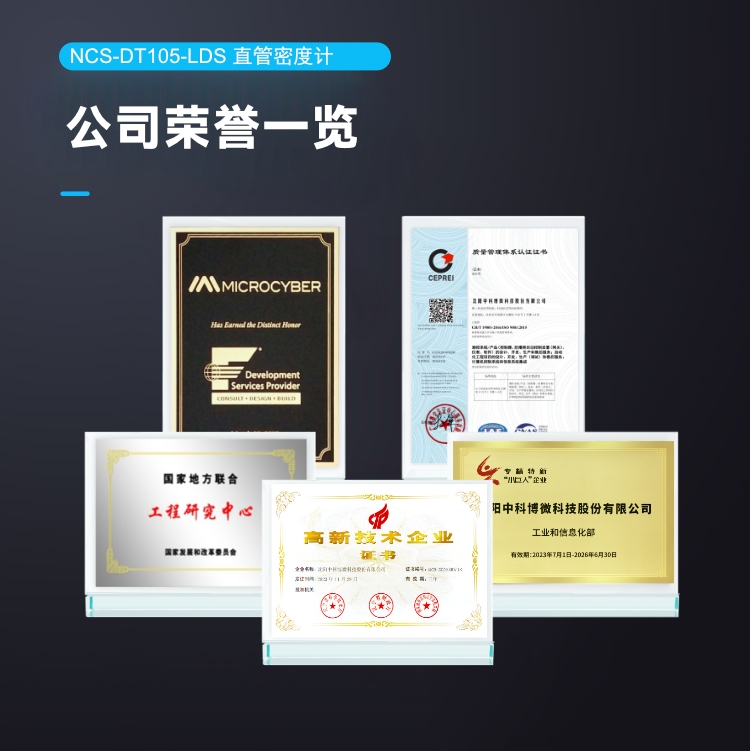 NCS-DT105-LDS 直管密度计.png