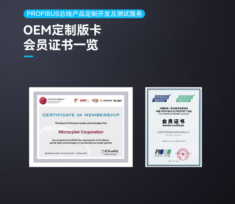 Profibus 总线产品定制开发及测试服务.png